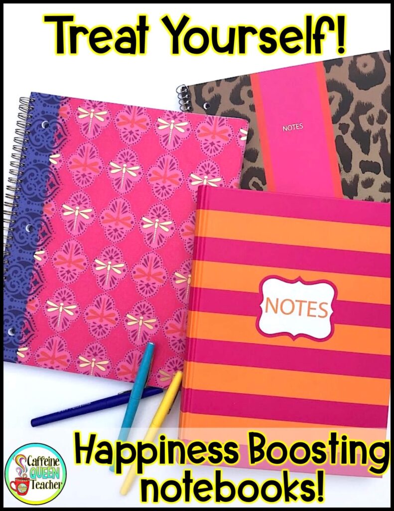 look-like-an-organized-teacher-with-fun-notebooks