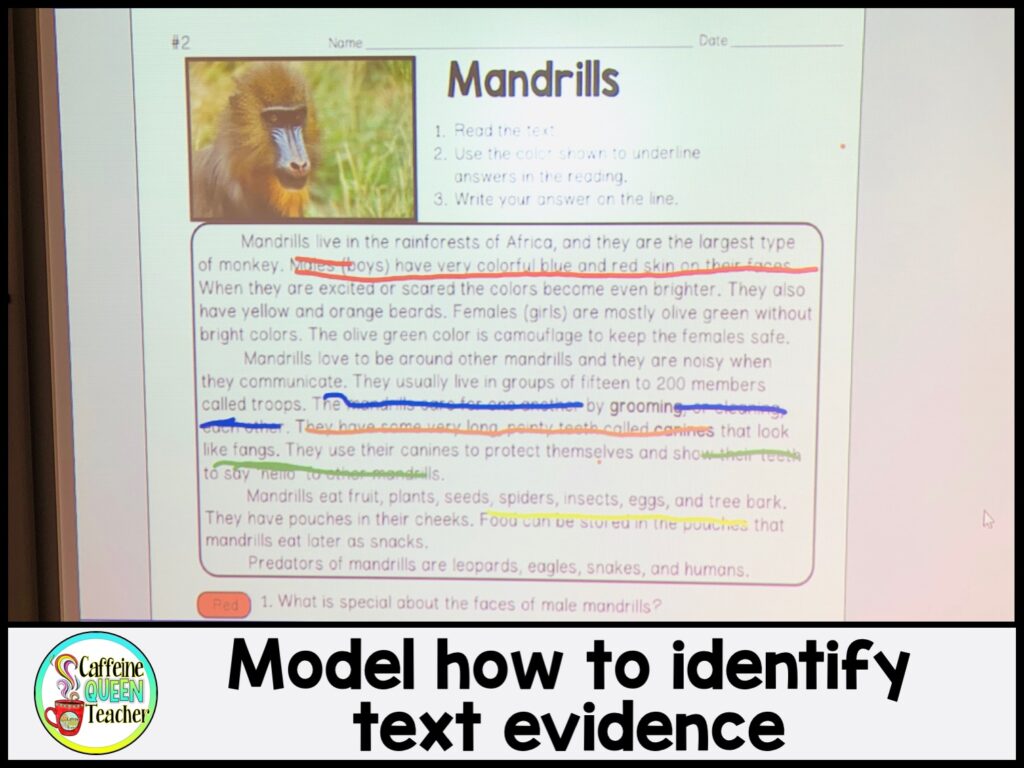 how-to-teach-students-to-cite-text-evidence-mandrills-reading-passage